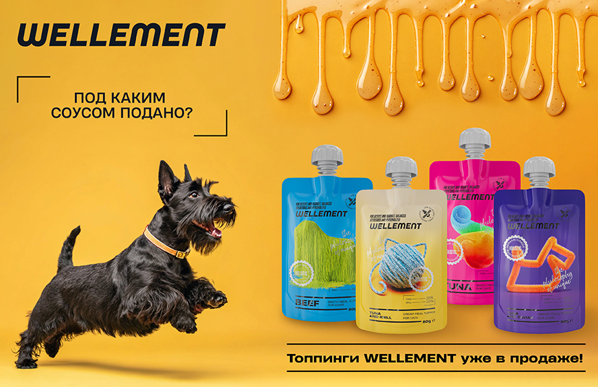 Под каким соусом подано?