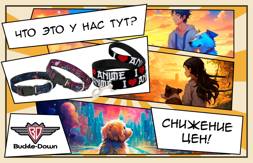 Осень на дворе, но активным играм и прогулкам с собакой погода не помеха!