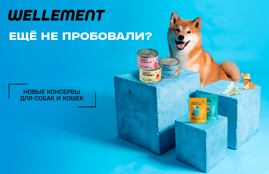 Расширяем ассортимент WELLEMENT!