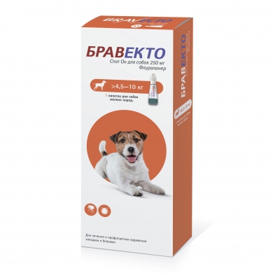 ИнтерветБравекто Cпот Он капли на холку противопаразитарные для собак,4,5-10кг ( 250мг )