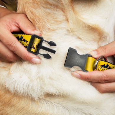 Buckle-Down ошейник для собак с пластиковой застёжкойБэт-Cигнал цвет желтый