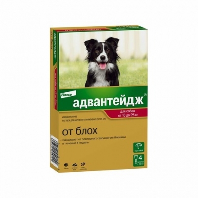 ЭланкоАдвантейдж 250 капли инсектицидные для собак весом от 10 до 25кг (упаковка 4шт)