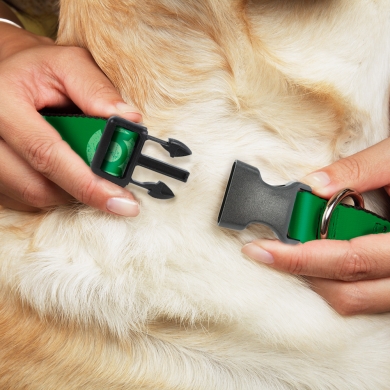 Buckle-Down ошейник для собак с пластиковой застёжкойЗеленый фонарь Лого цвет зеленый