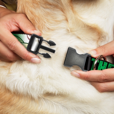 Buckle-Down ошейник для собак с пластиковой застёжкойЗагадочник мультицвет
