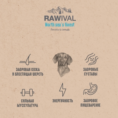 RawivalNorth Sea’s Finest с лососем и сельдью сухой корм для взрослых собак средних и крупных пород