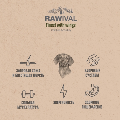 RawivalFinest with Wings с курицей и индейкой сухой корм для взрослых собак средних и крупных пород