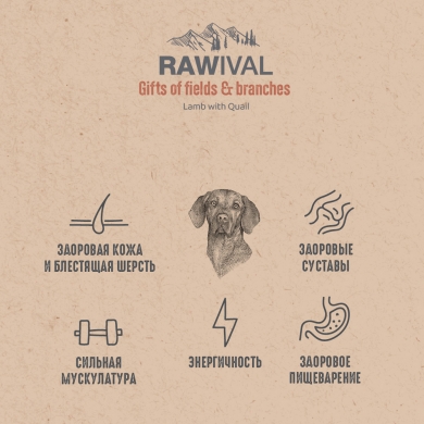 RawivalGifts of Fields&Branches с ягненком и перепелом сухой корм для взрослых собак средних и крупных пород
