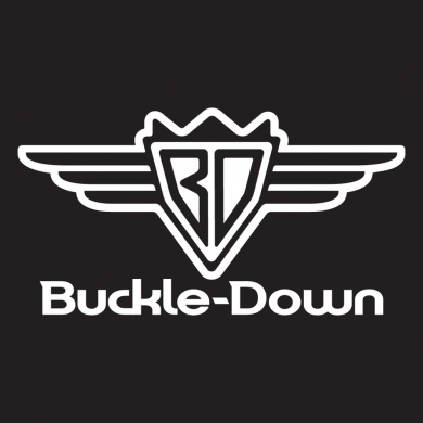 Buckle-Down ошейник для собак с пластиковой застёжкойФлэш BOOM-KABOOM! мультицвет