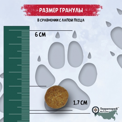 ТерриториЯТаймыр с белой рыбой и брусникой сухой корм для взрослых собак средних и крупных пород