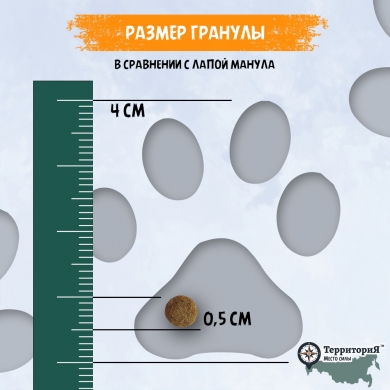 ТерриториЯКавказ с индейкой и брусникой сухой корм для котят