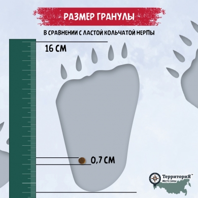 ТерриториЯТаймыр с белой рыбой и брусникой сухой корм для взрослых кошек