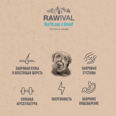 RawivalNorth Sea’s Finest с лососем и сельдью сухой корм для щенков средних и крупных пород