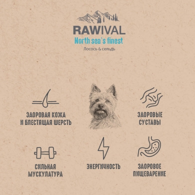 RawivalNorth Sea’s Finest с лососем и сельдью сухой корм для взрослых собак карликовых и мелких пород