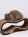 Кот БаронКогтеточка-лежанка Липс черный для кошек