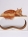 Кот БаронКогтеточка-лежанка Корнерс белый для кошек из