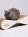 Кот БаронКогтеточка-лежанка Басик белый для кошек